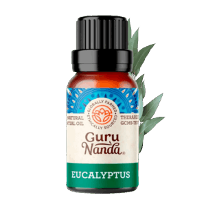 GuruNanda 100% Pure & Natural Eucalyptus Essential Oil for Aromatherapy & Diffuser - 15ml